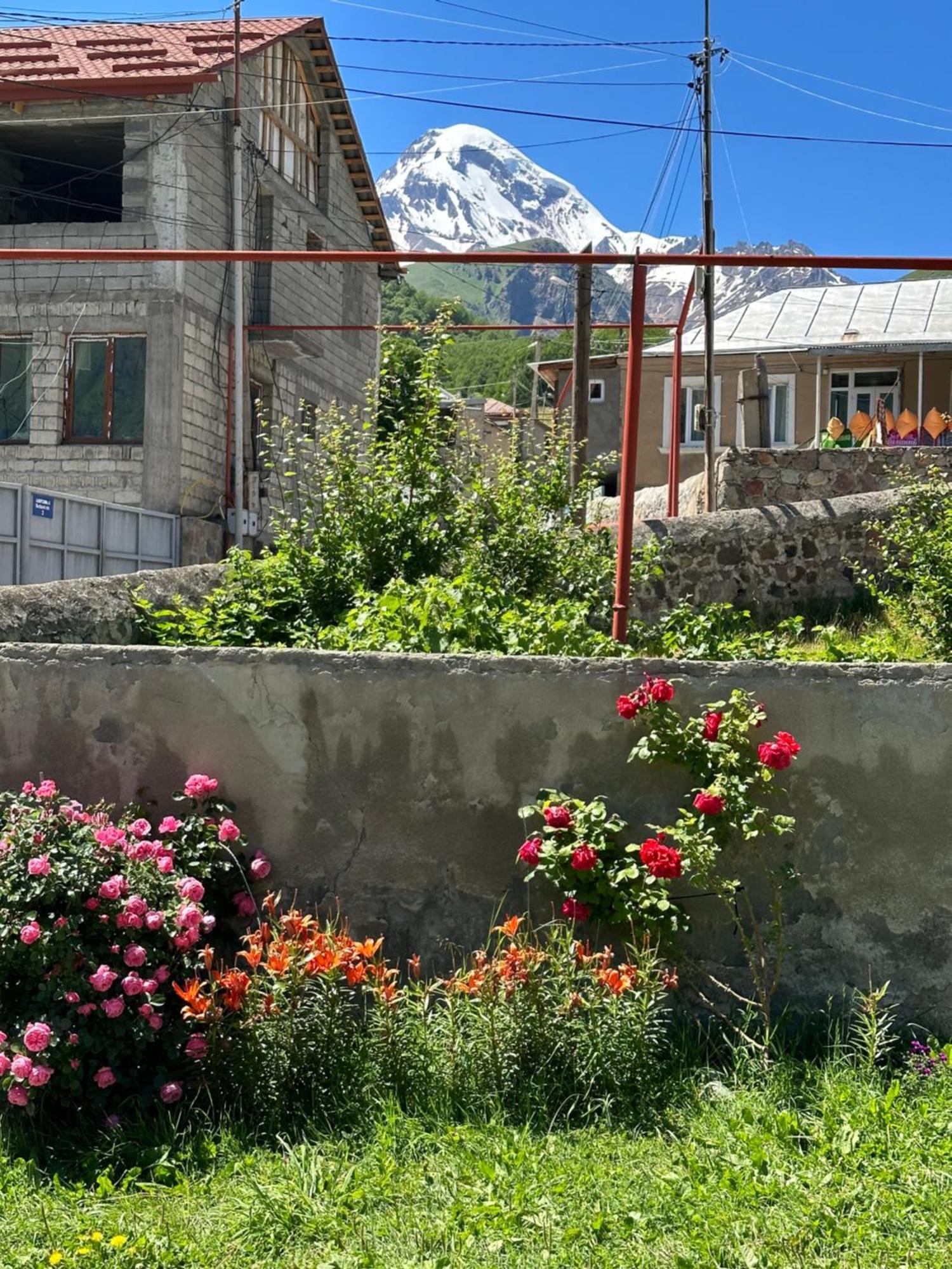 Polaris Kazbegi Hotel Kültér fotó